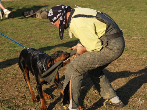 Training in Prague 3/2007